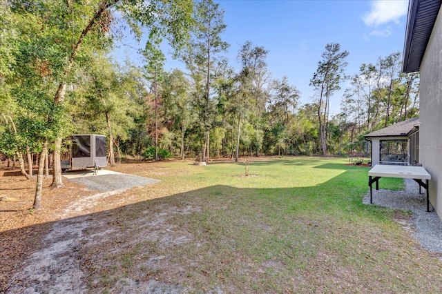 view of yard featuring a patio area