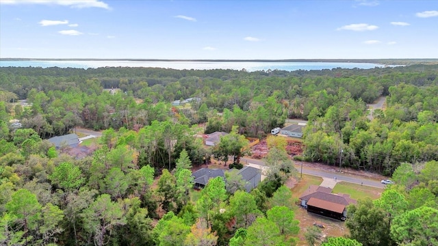 drone / aerial view with a water view and a view of trees