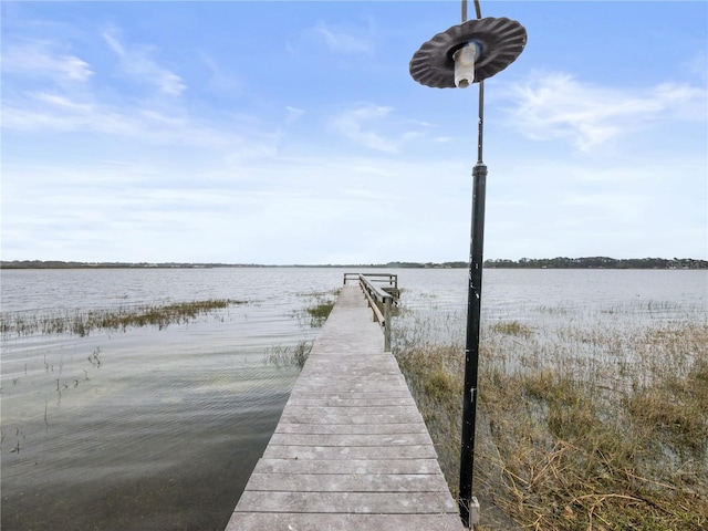 dock area with a water view