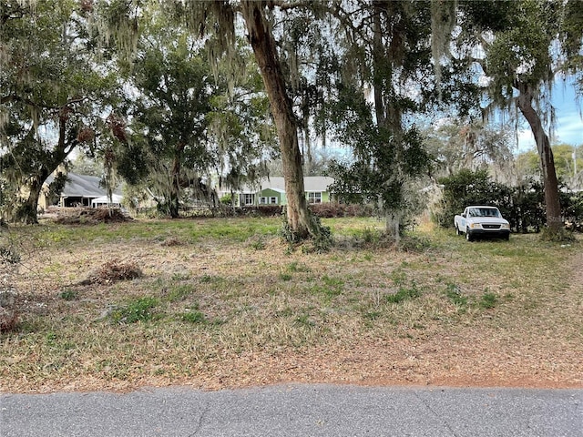 Listing photo 3 for LOT16 Crk 440, Lake Panasoffkee FL 33538