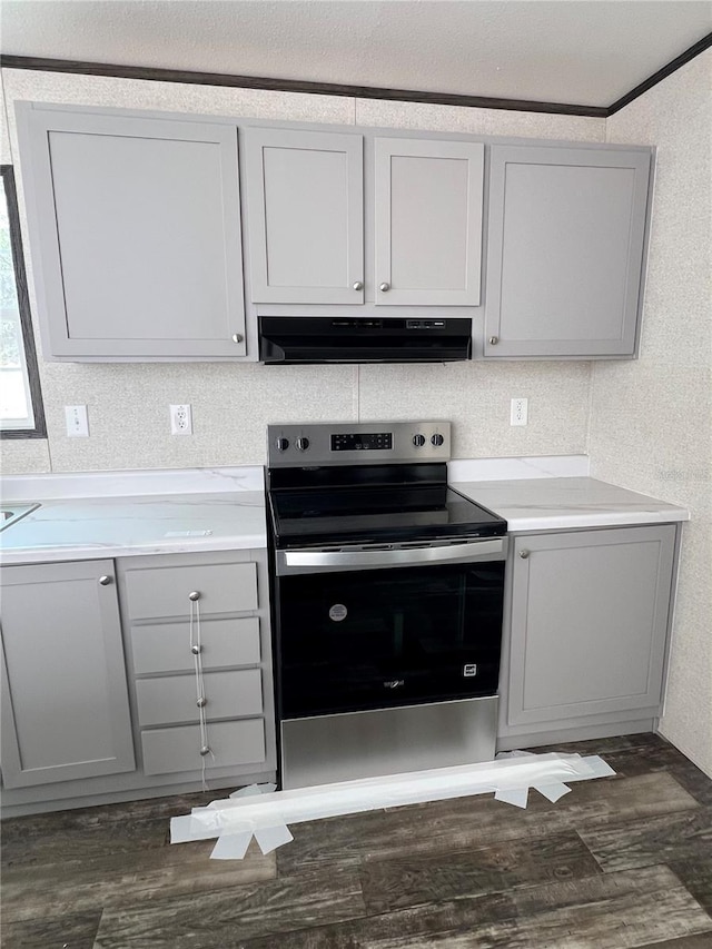 kitchen with gray cabinetry, ventilation hood, dark wood-type flooring, and stainless steel electric stove