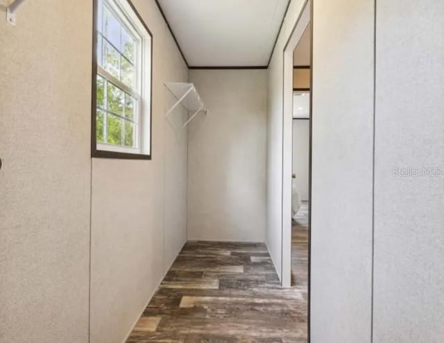 spacious closet featuring wood finished floors