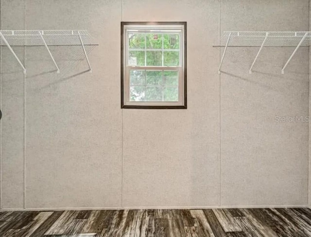 spacious closet featuring dark wood-style floors