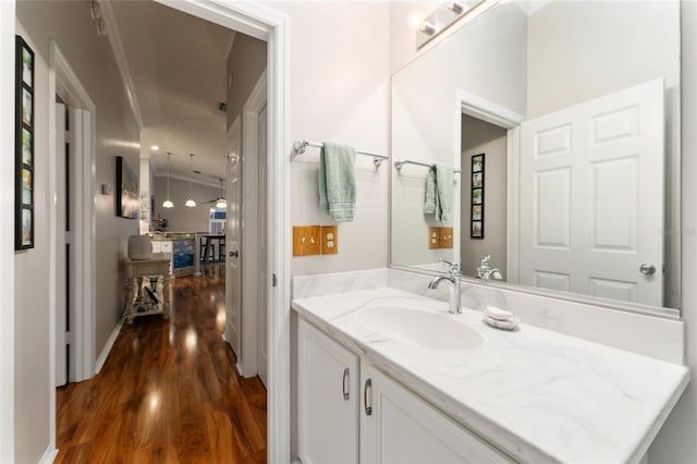 bathroom featuring wood finished floors and vanity