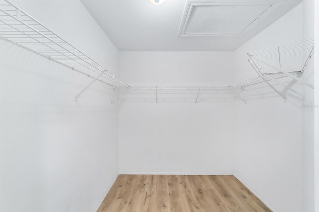 walk in closet featuring attic access and light wood-type flooring