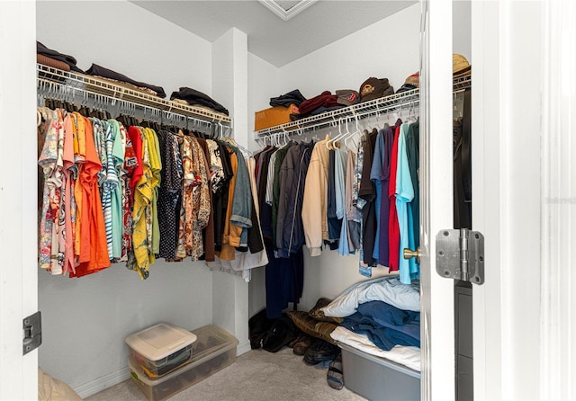 spacious closet with carpet