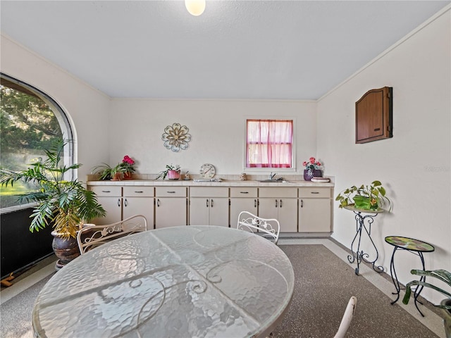 bedroom with crown molding and a sink