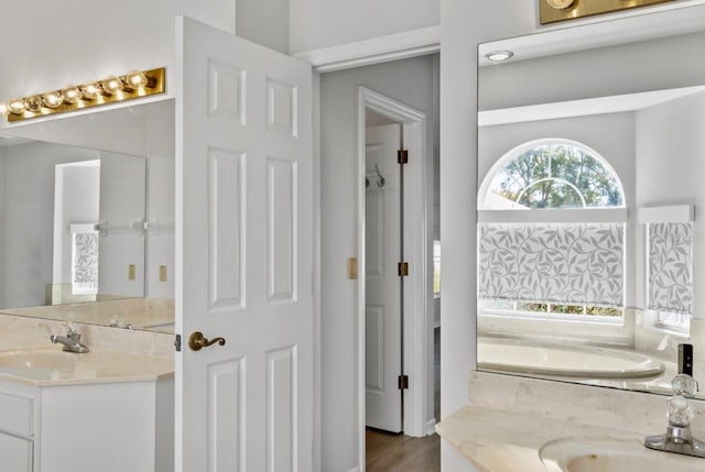 bathroom with a garden tub and vanity