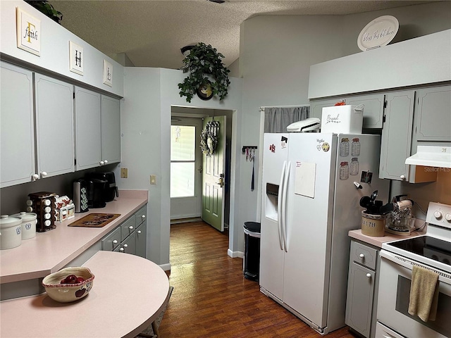 kitchen with gray cabinetry, under cabinet range hood, white appliances, dark wood-style flooring, and light countertops