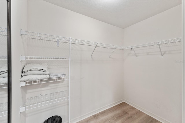 spacious closet featuring wood finished floors