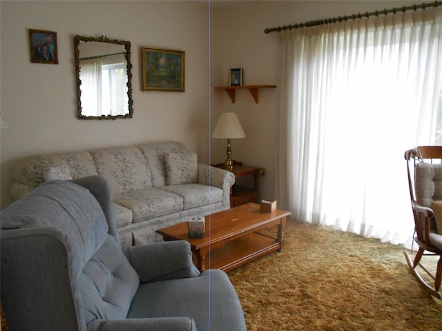 carpeted living room featuring plenty of natural light