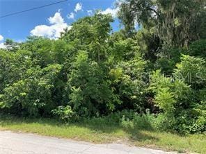 County Road 144, Wildwood FL, 34785 land for sale