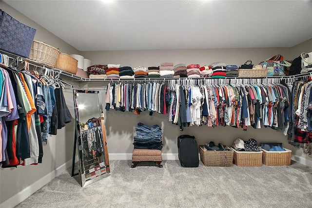 walk in closet with carpet flooring