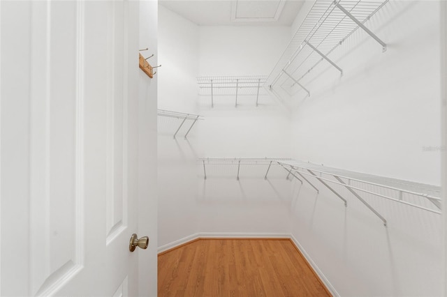 1202 San Bernardo Rd, The Villages, FL 32162 - walk in closet featuring light wood-type flooring