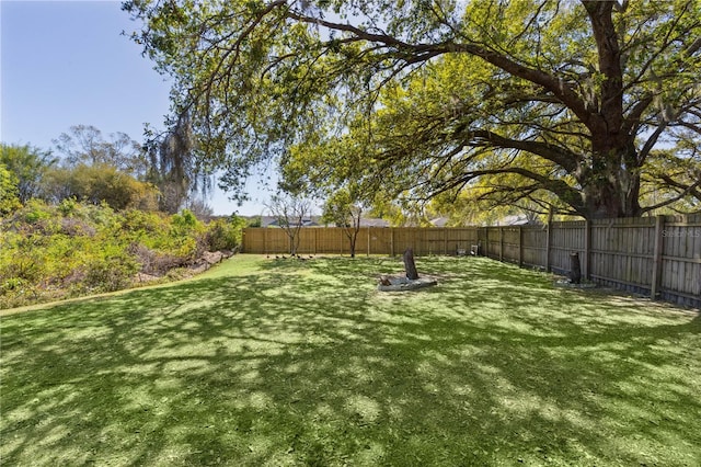 view of yard featuring a fenced backyard