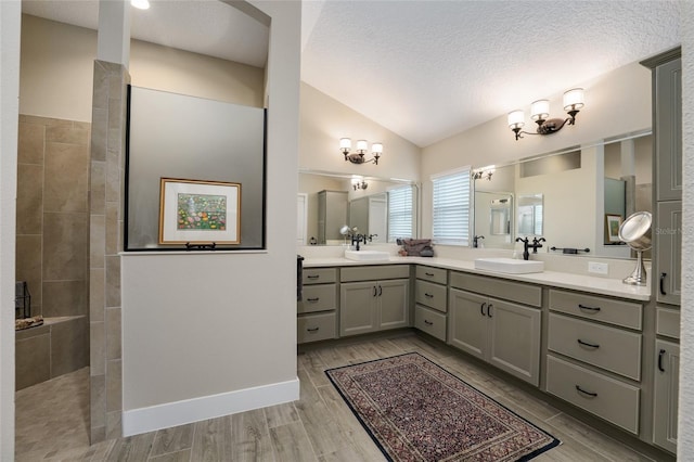 2124 Biller Cir, The Villages, FL 32163 - bathroom with lofted ceiling, wood finish floors, a sink, and walk in shower