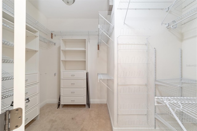 spacious closet featuring light carpet