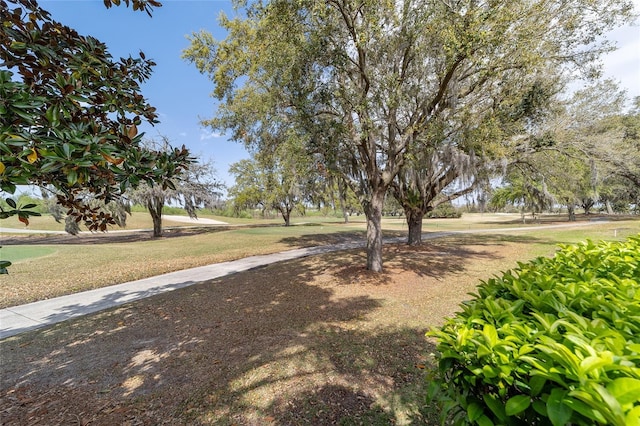 view of property's community featuring a lawn