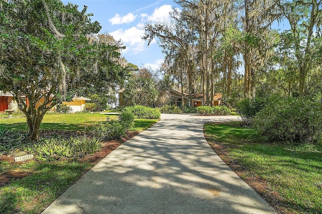 view of home's community with a yard