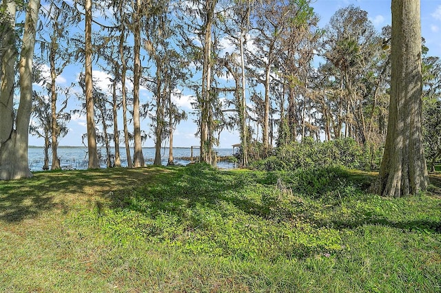 view of landscape featuring a water view