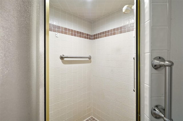 bathroom with a shower stall