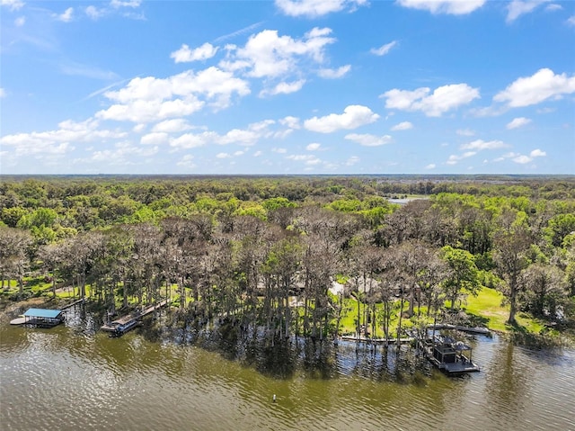 birds eye view of property featuring a water view and a view of trees