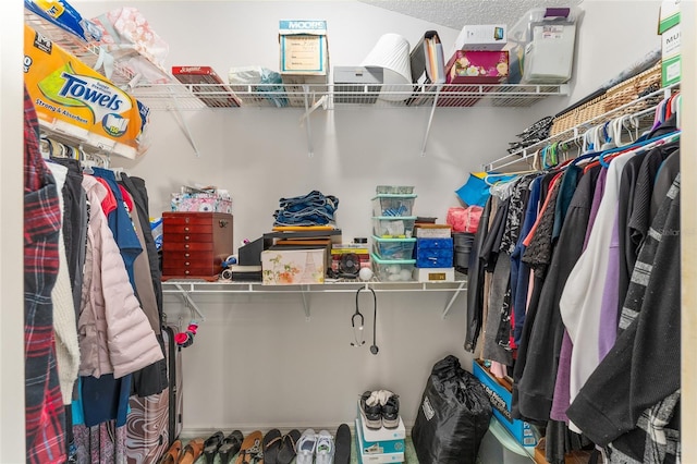 view of spacious closet