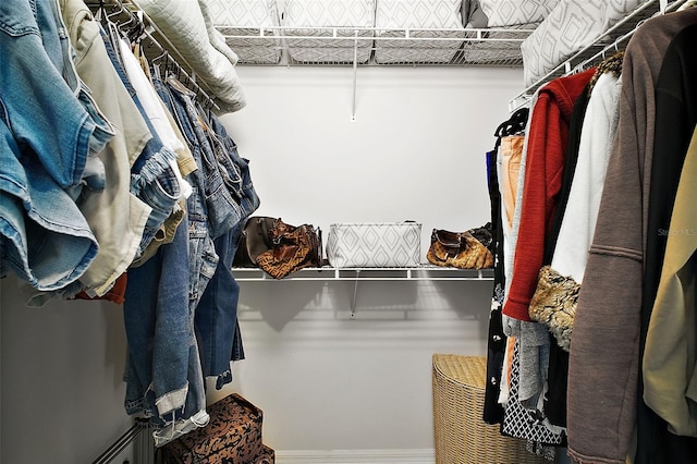 view of walk in closet