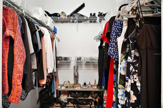view of spacious closet