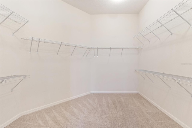 spacious closet featuring light colored carpet