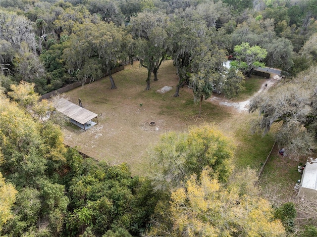 bird's eye view with a view of trees