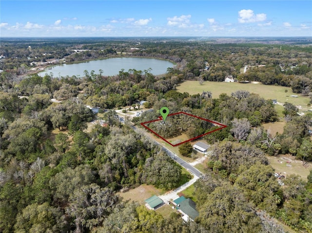 bird's eye view featuring a water view and a forest view