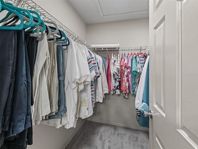 view of spacious closet