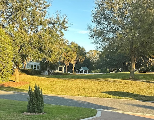 view of property's community with a yard