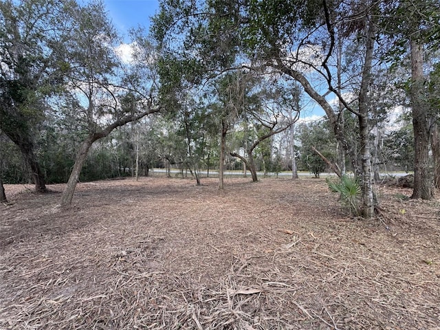 Listing photo 3 for Spruce Terrace Way, Ocala FL 34472