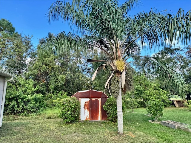 view of yard featuring an outdoor structure and a storage shed