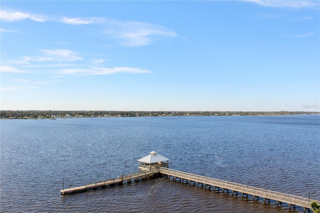 dock area with a water view