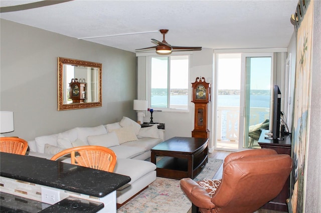 living room featuring ceiling fan and wood finished floors