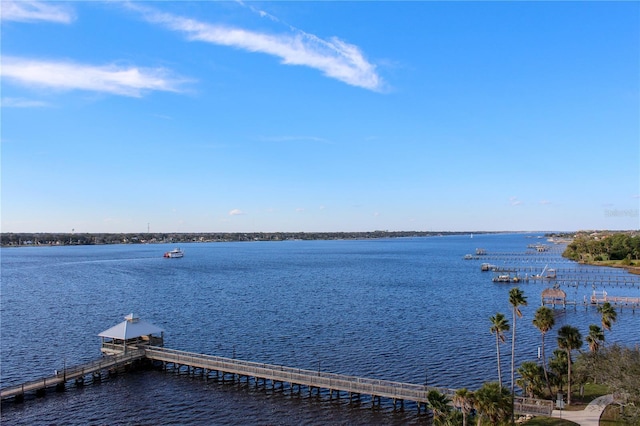 water view featuring a dock