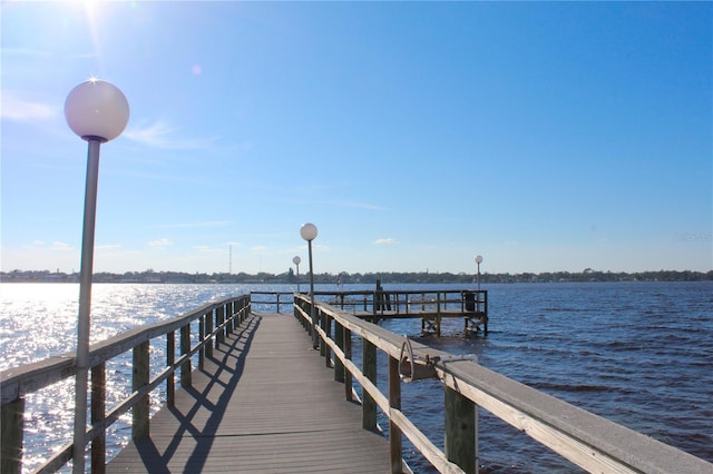 dock area with a water view