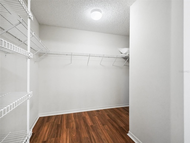 spacious closet featuring wood finished floors