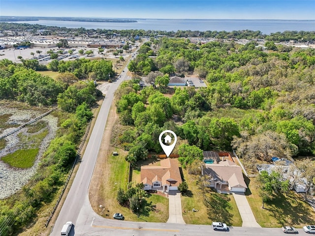 10210 Silver Bluff Dr, Leesburg, FL 34788 - photo 49