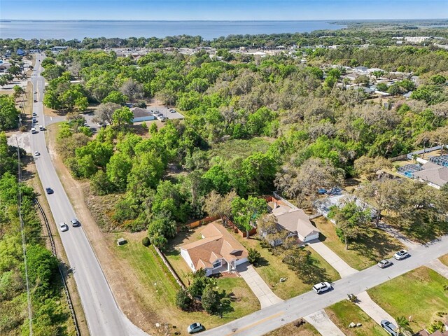 10210 Silver Bluff Dr, Leesburg, FL 34788 - photo 50