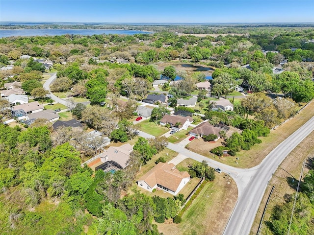 10210 Silver Bluff Dr, Leesburg, FL 34788 - photo 54