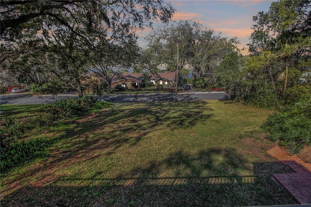 view of yard at dusk