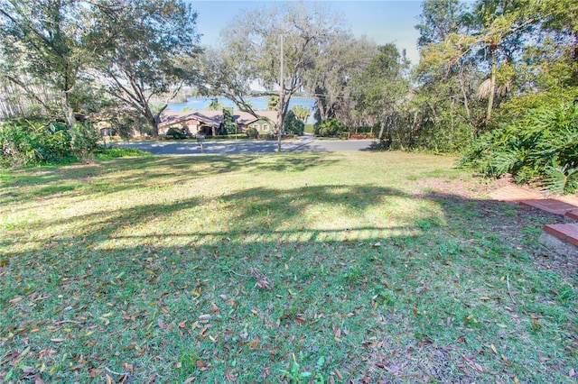 925 Northside Dr, Mount Dora, FL 32757 - photo 3