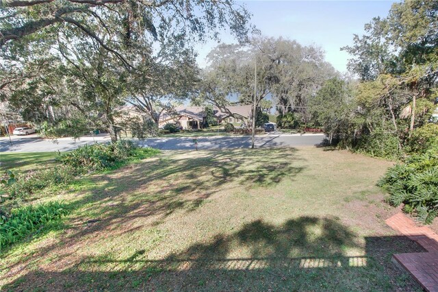 925 Northside Dr, Mount Dora, FL 32757 - photo 8