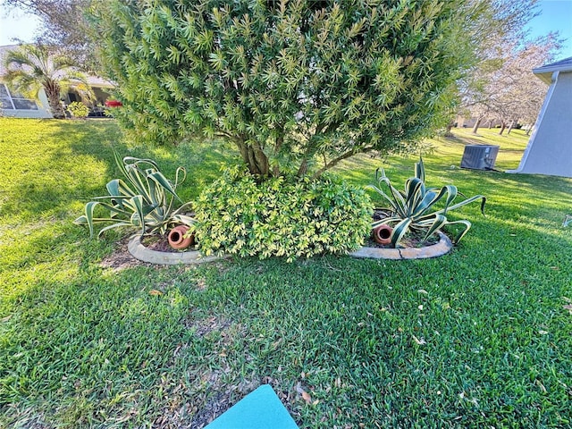 view of yard featuring cooling unit