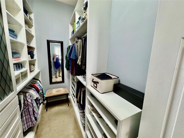 spacious closet with carpet floors