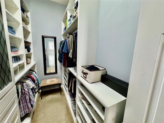 spacious closet featuring carpet floors